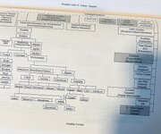 IMG_3667.jpeg