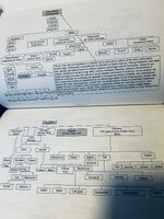 IMG_3666.jpeg